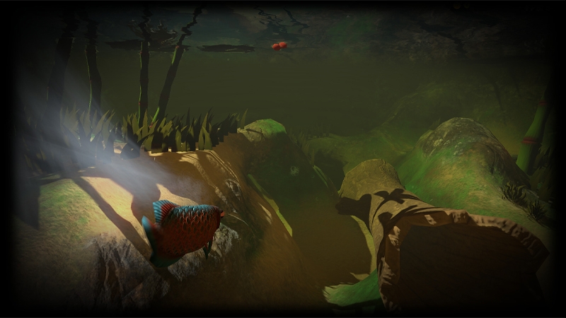 Fish Feed and Grow - hình 4