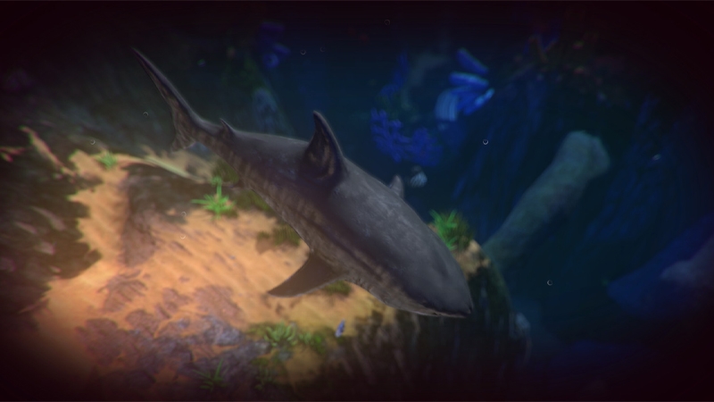 Fish Feed and Grow - hình 9