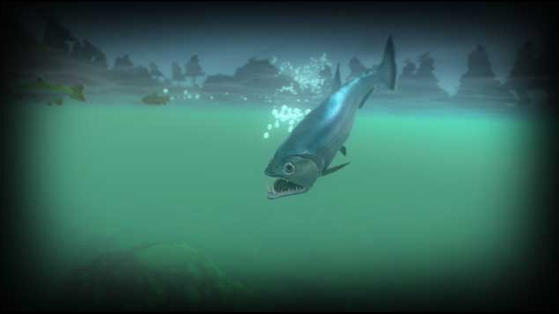 Fish Feed and Grow - hình 5