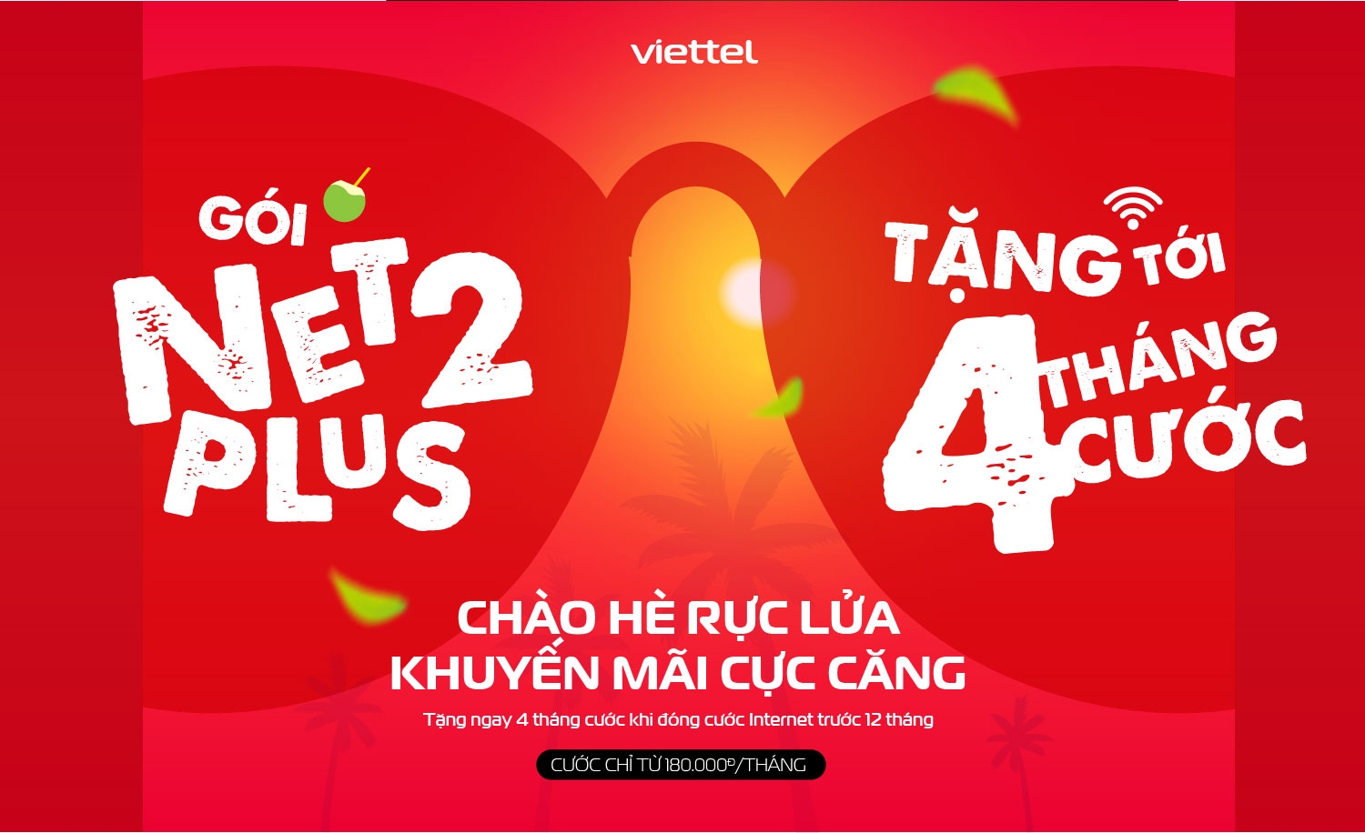 Net2Plus - hình 1