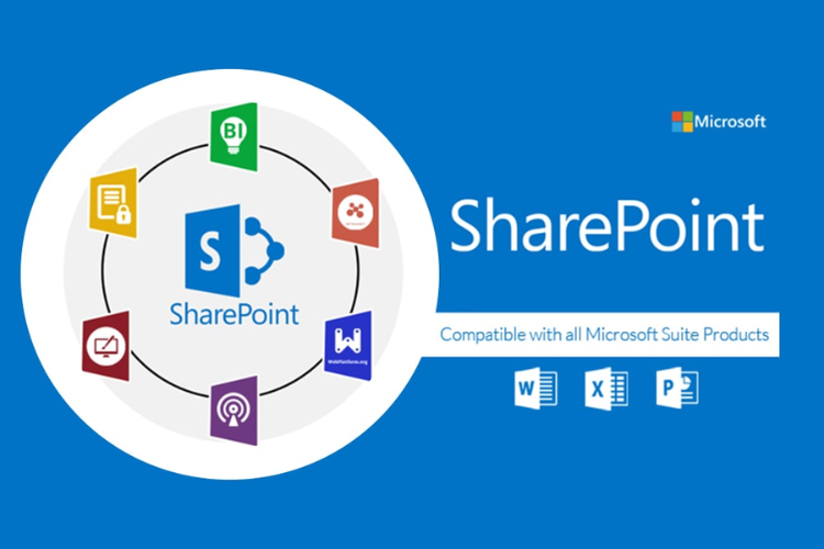 Sự khác biệt giữa SharePoint Online và Server là gì?