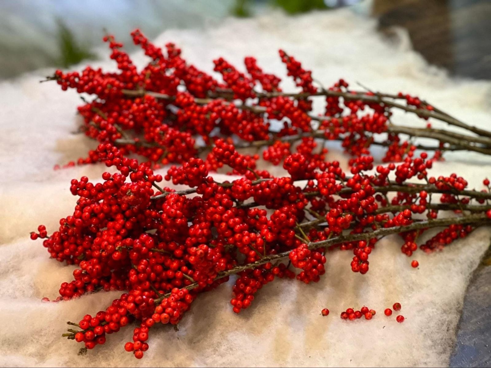 cách cắm cành đông đẹp - Ảnh 2