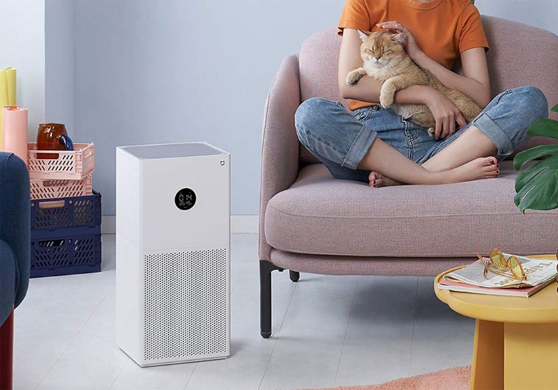 chế độ Pet Mode 1