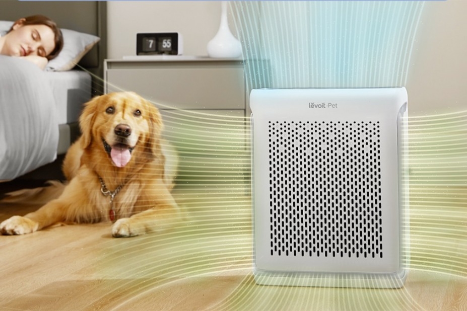 chế độ Pet Mode 10