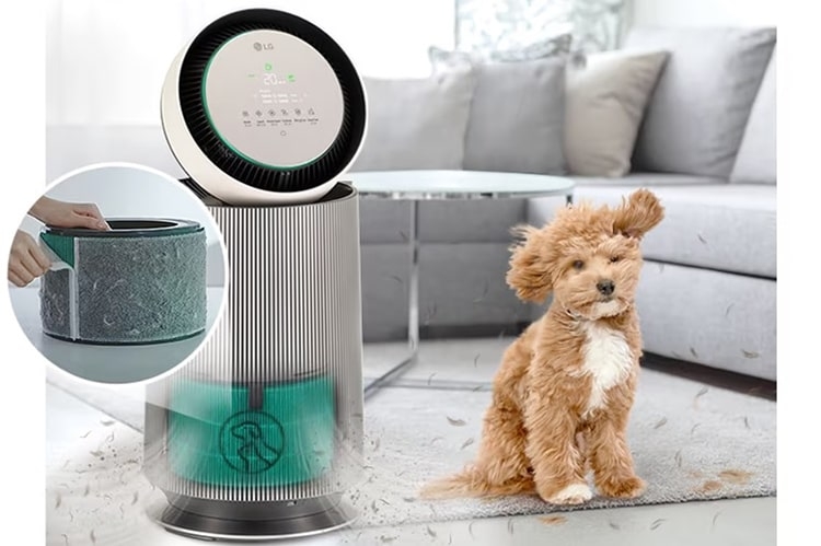 chế độ Pet Mode 4