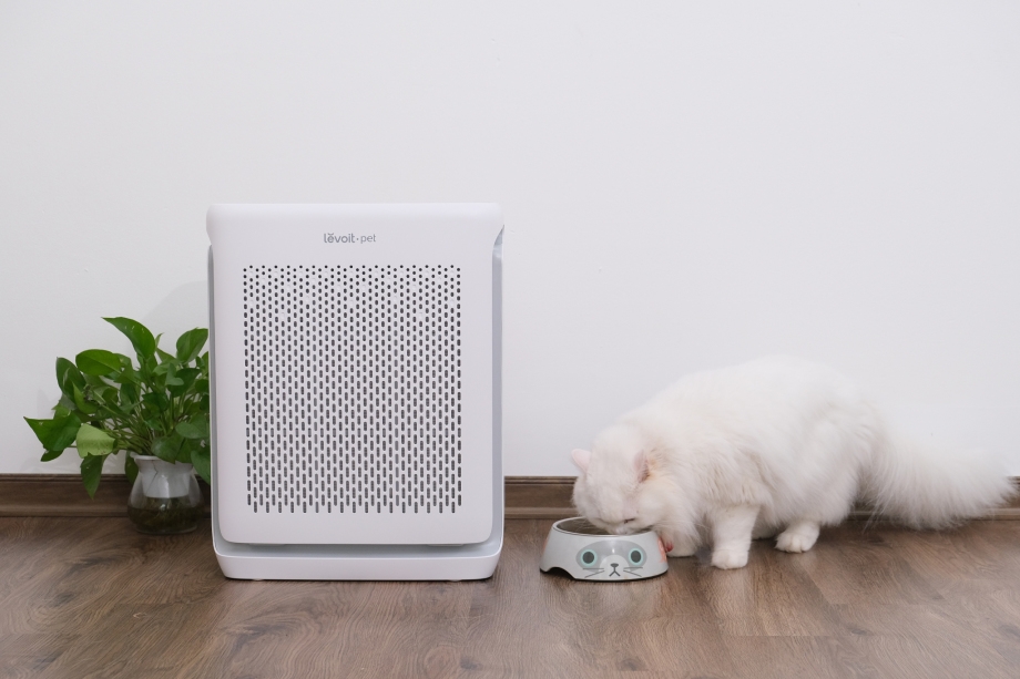 chế độ Pet Mode 5