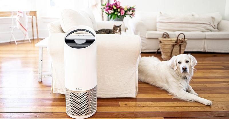 chế độ Pet Mode 7