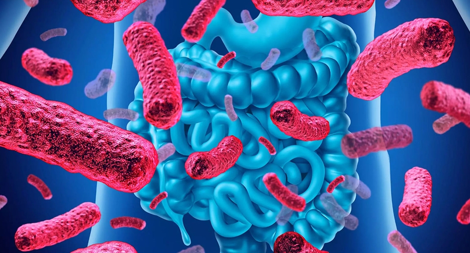 Khuẩn probiotic - Ảnh 02