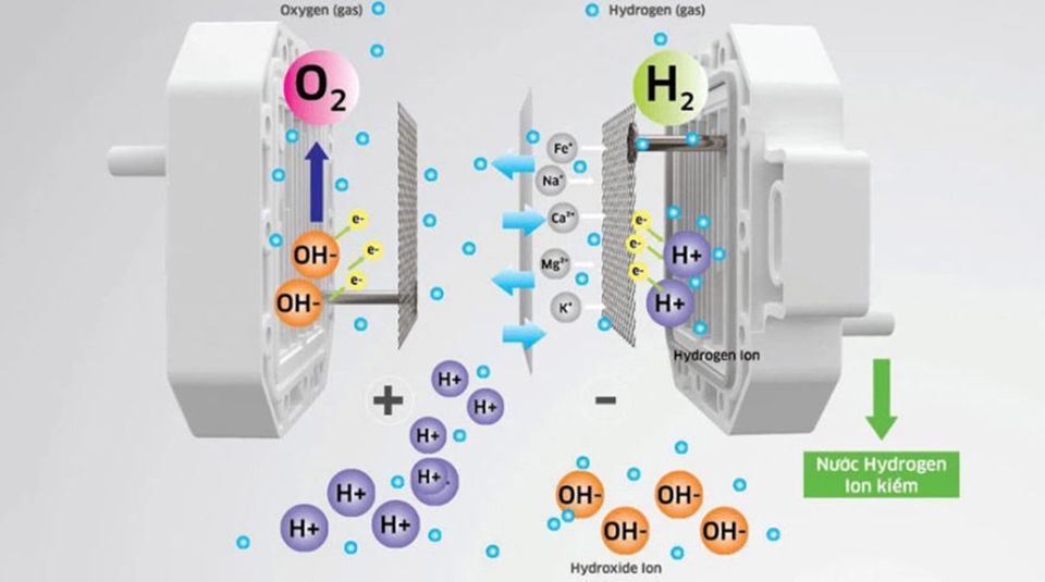 Máy lọc nước RO Hydrogen ion kiềm Kangaroo 7 lõi KG100EO