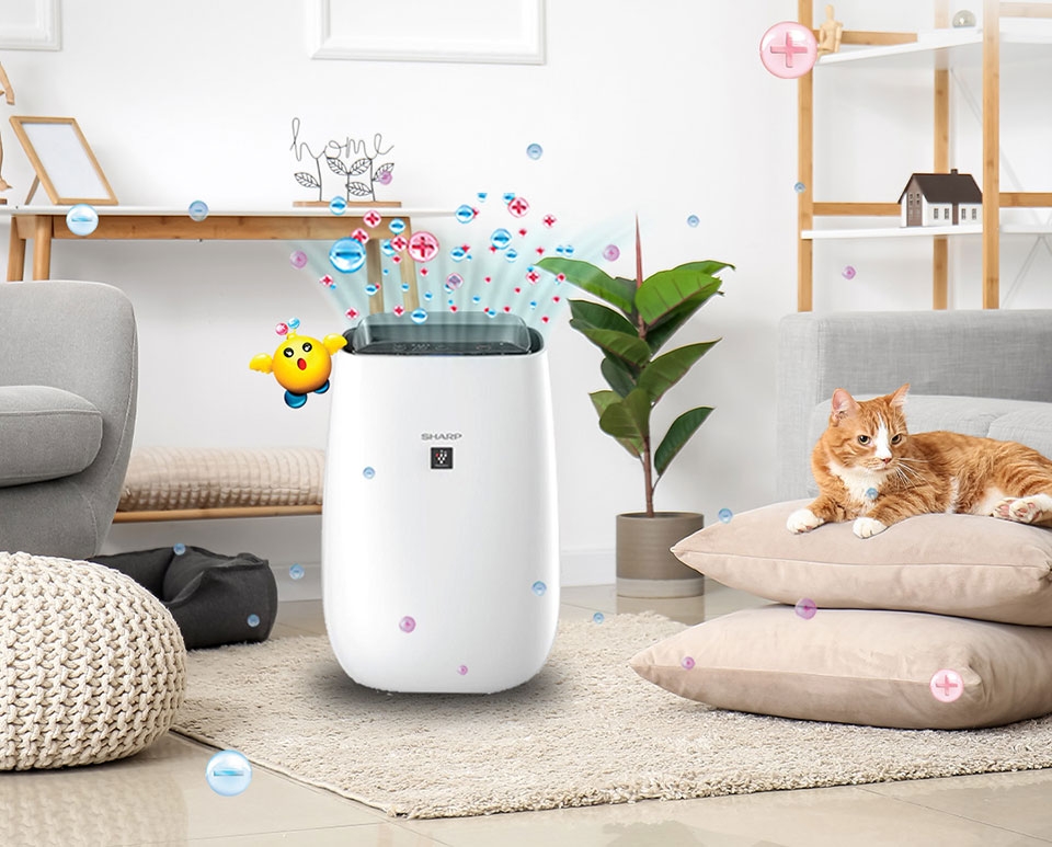 Máy lọc không khí