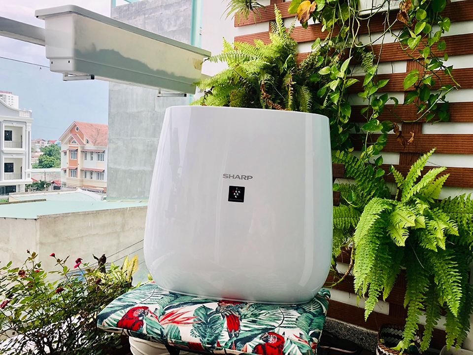 Máy lọc không khí Sharp FP-J30E-B