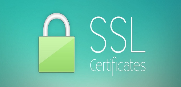 Check SSL 3