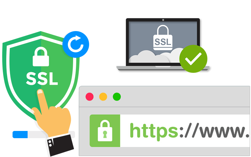 Check SSL 5