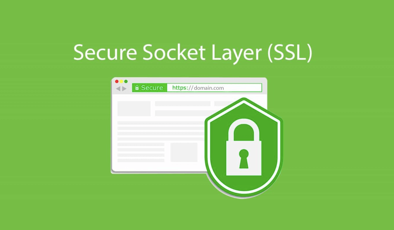 Check SSL 4