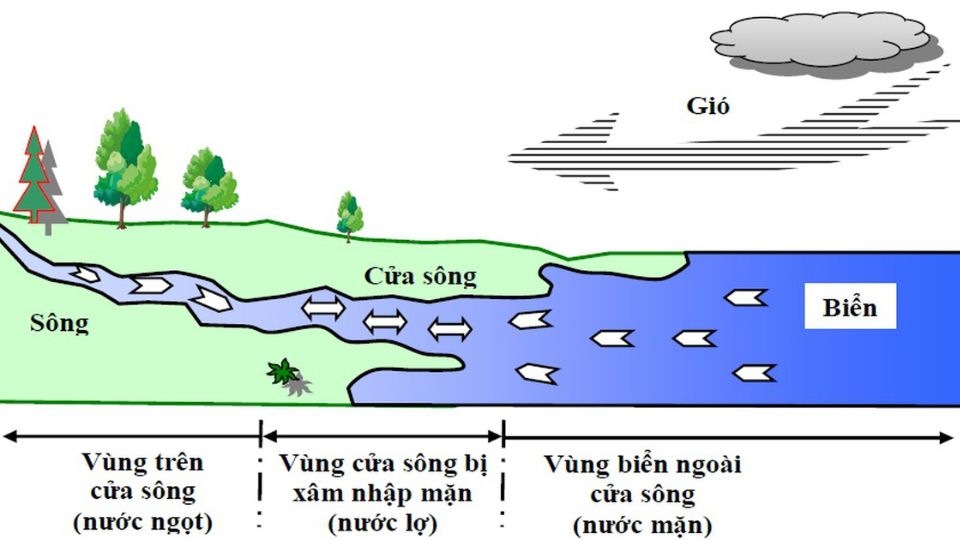 Nguyên nhân khiến nước nhiễm mặn