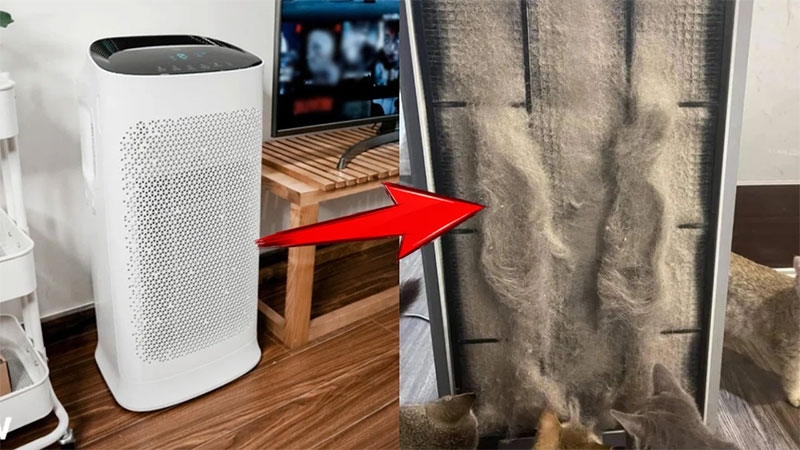 Tác hại của máy lọc không khí khi sử dụng không đúng cách