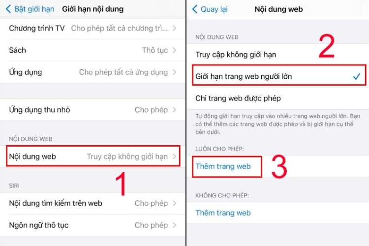 Bật giới hạn và chọn mục Giới hạn nội dung
