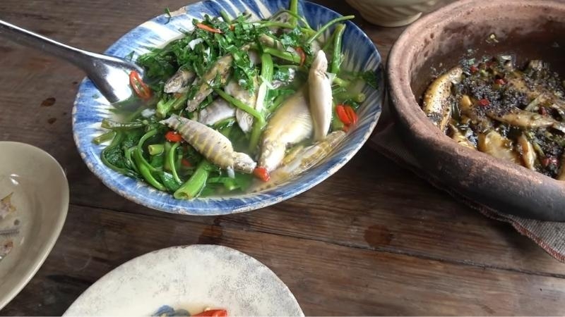 cá heo nước ngọt 2