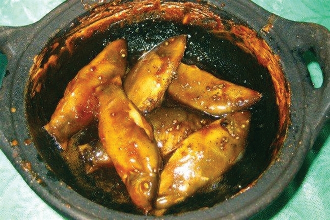 cá heo nước ngọt 4