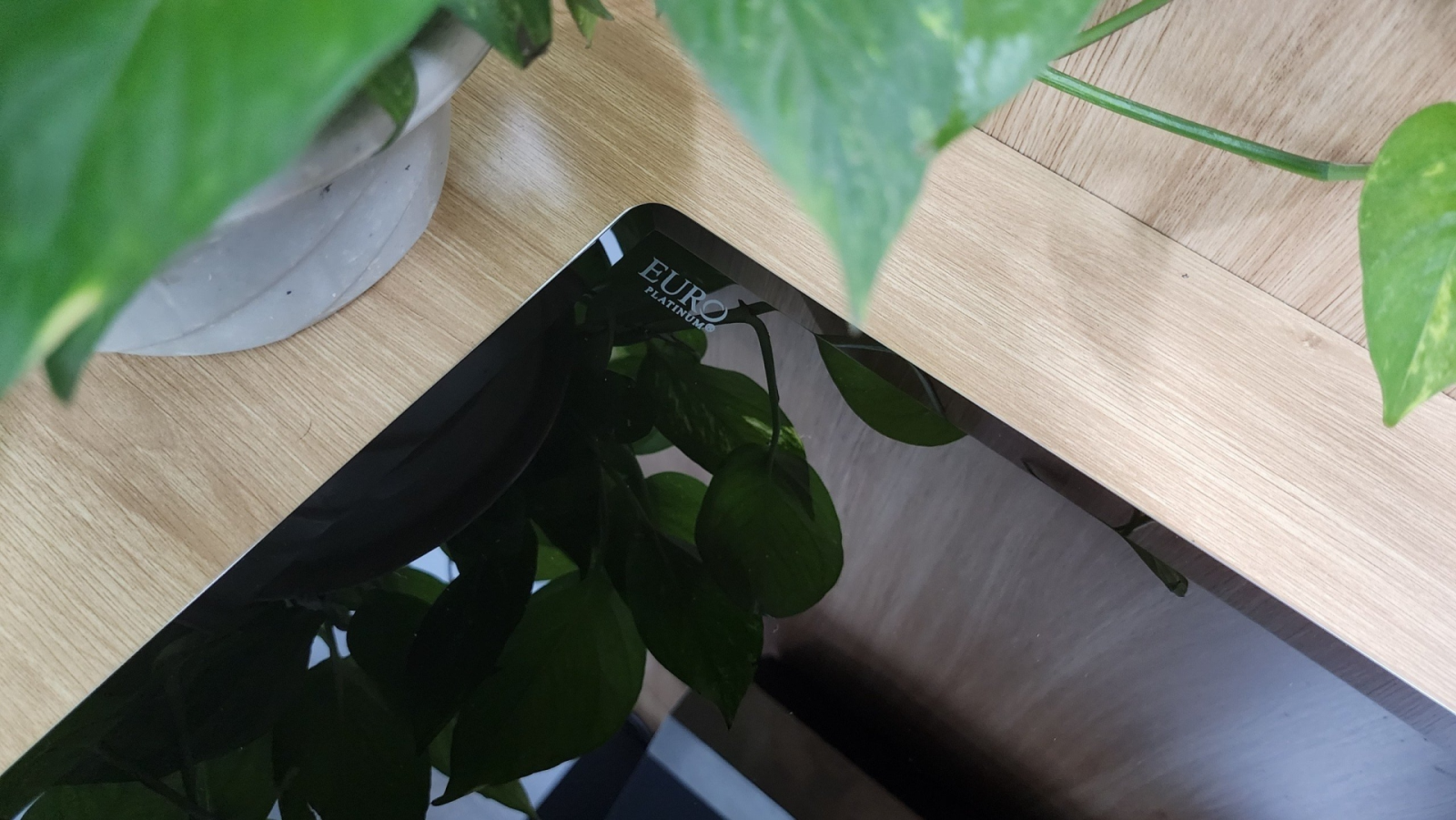 Mặt kính Euro Platinum