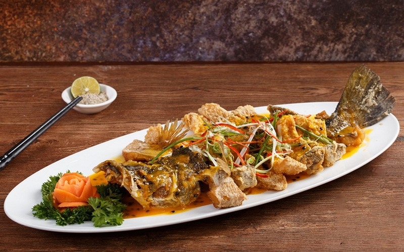 cá hồng vỹ 5