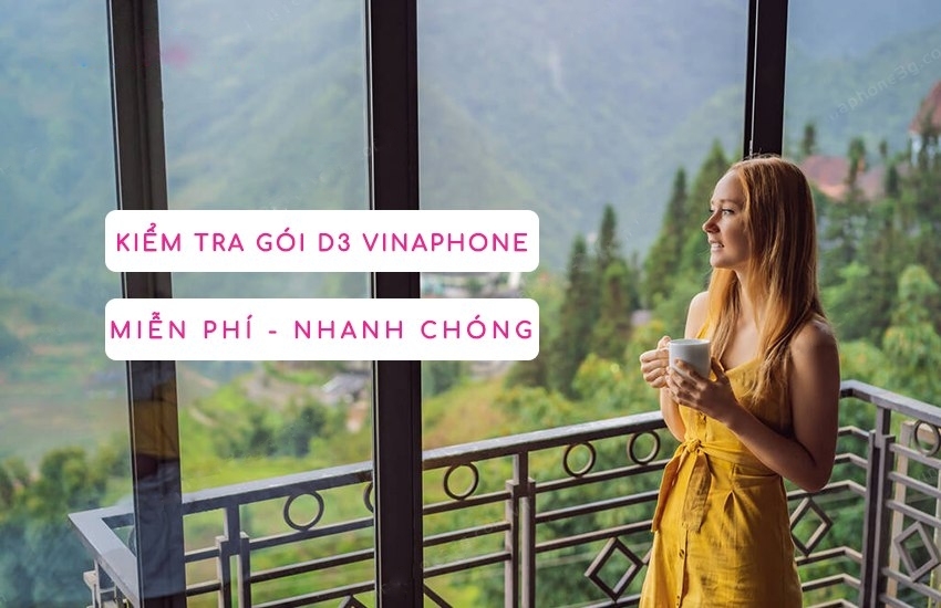Gói D3 VinaPhone hình 5