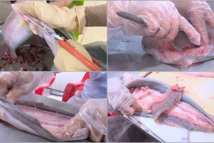 Làm cá thác lác rút xương, "bỏ túi" ngay 3 mẹo hay này đảm bảo cá sạch xương trong tích tắc - hình 5