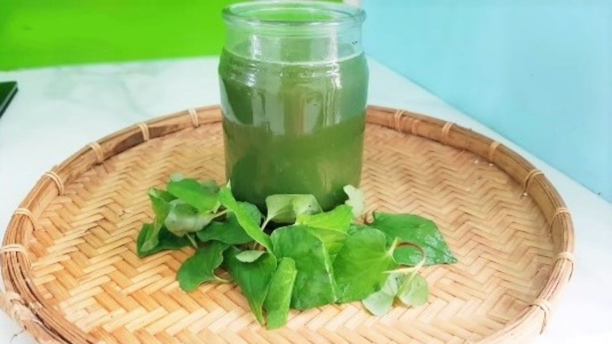 lá diếp cá 3