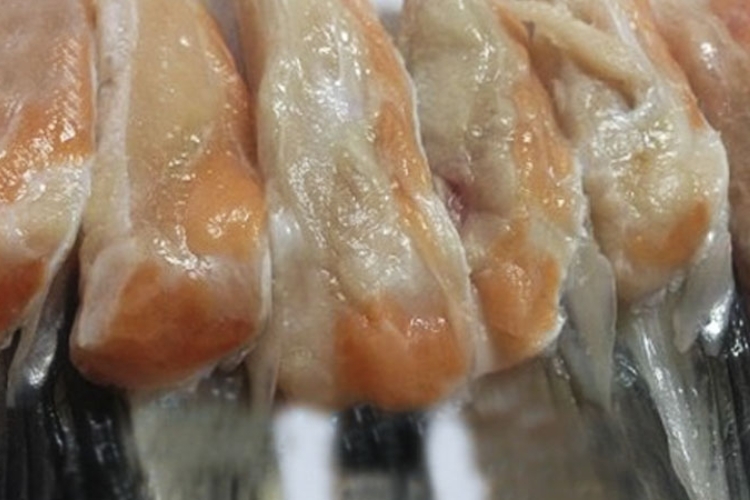 Sơ chế vây cá hồi