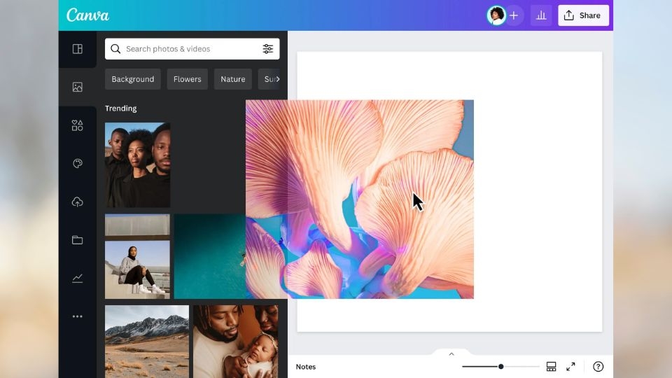 Bộ công cụ Brand Hub của Canvas AI