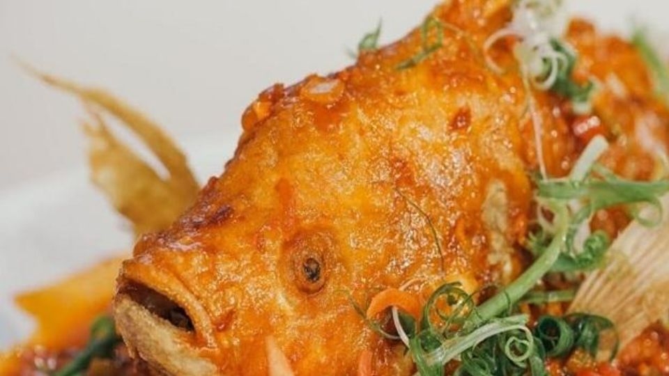 Cá tai tượng sốt cam