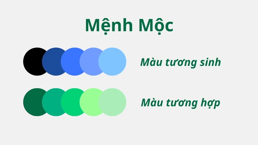 Người mệnh Mộc hợp màu gì?
