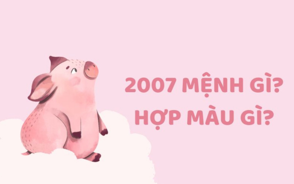 2007 là năm con gì? Mệnh gì, hợp màu gì, hợp và kỵ tuổi nào?