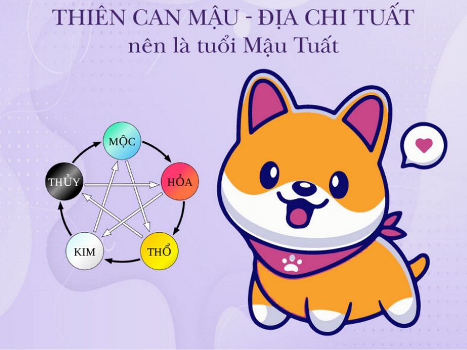 Tuổi Tuất 2018 và các màu sắc phù hợp, may mắn