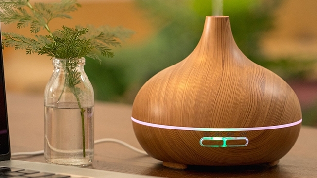 Máy xông tinh dầu đuổi muỗi có hại không? Liệu có nên dùng máy xông tinh dầu đuổi muỗi? 1