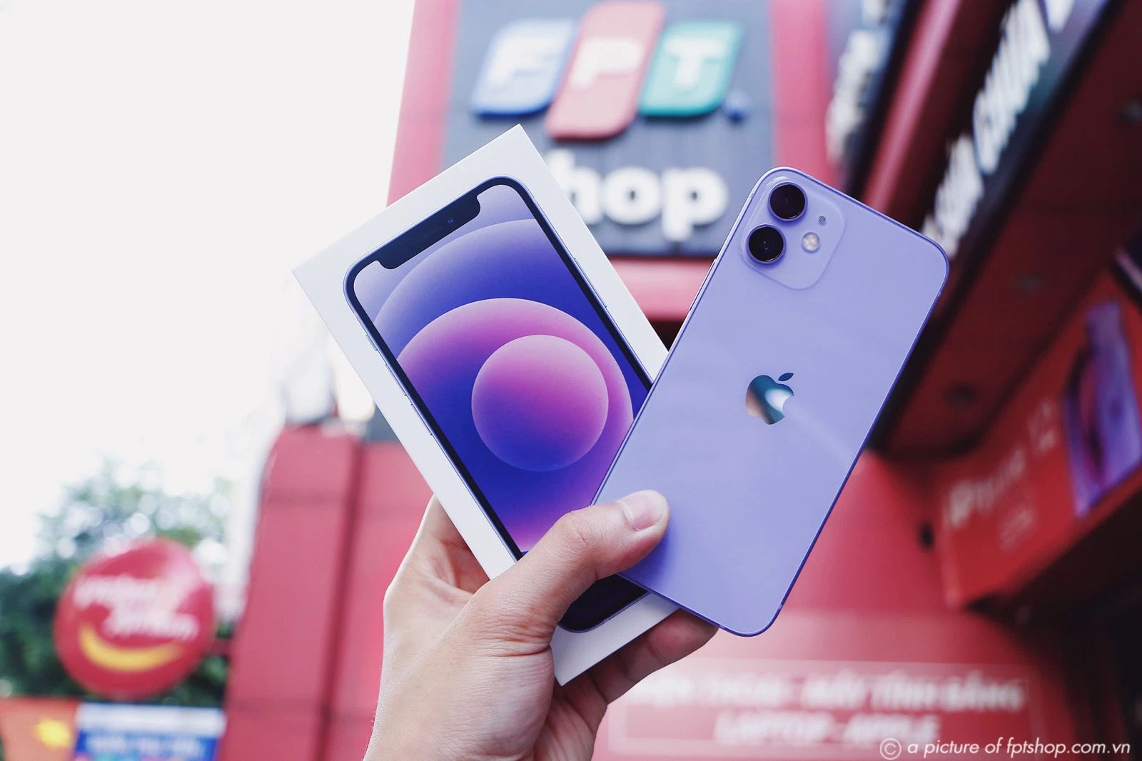 iPhone nhỏ gọn (ảnh 7)