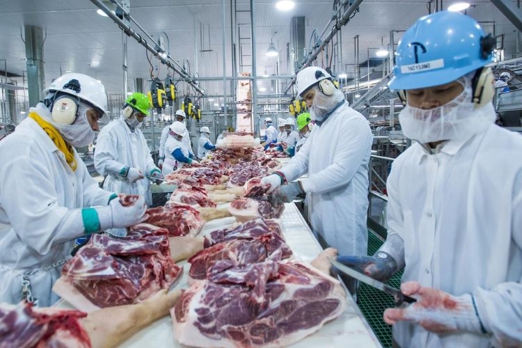 Tác dụng của công nghệ Ozone 1