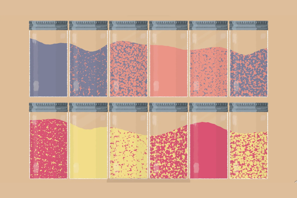 Sắp xếp các đồ vật theo màu sắc, hình ảnh