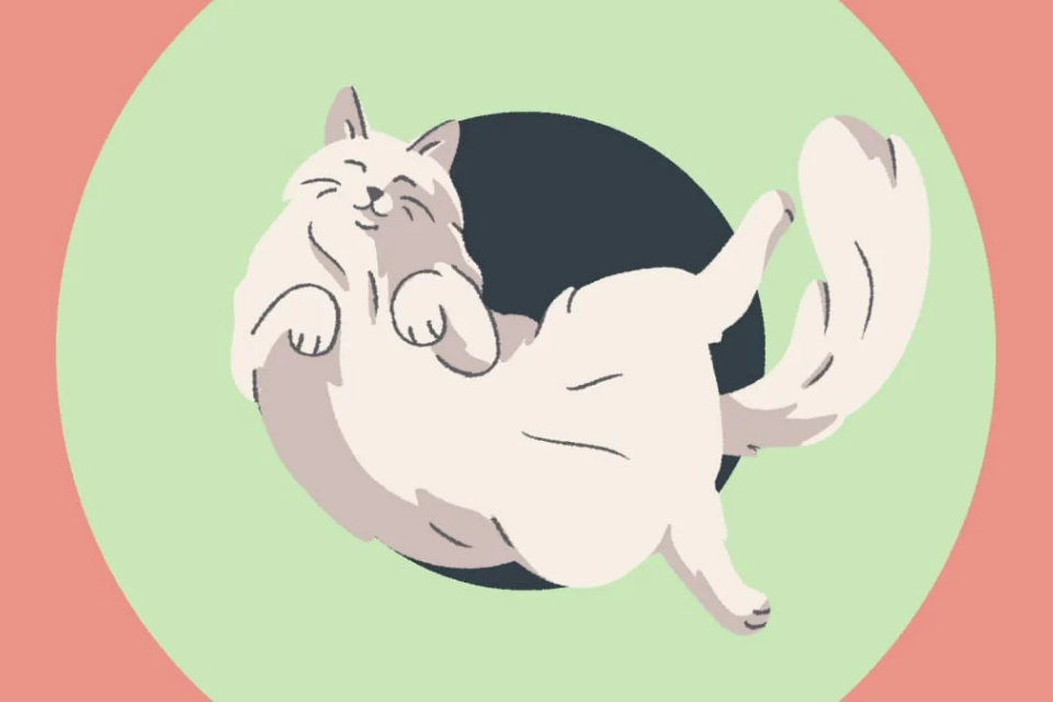 Dọn dẹp mớ hỗn loạn do các “hoàng thượng” gây ra