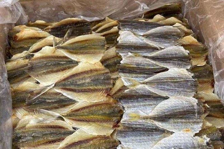 Quan sát bằng mắt thường để chọn cá chỉ vàng khô