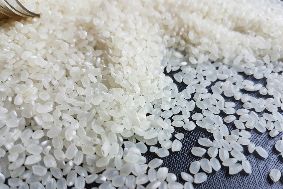 Cơm nắm cá ngừ 2