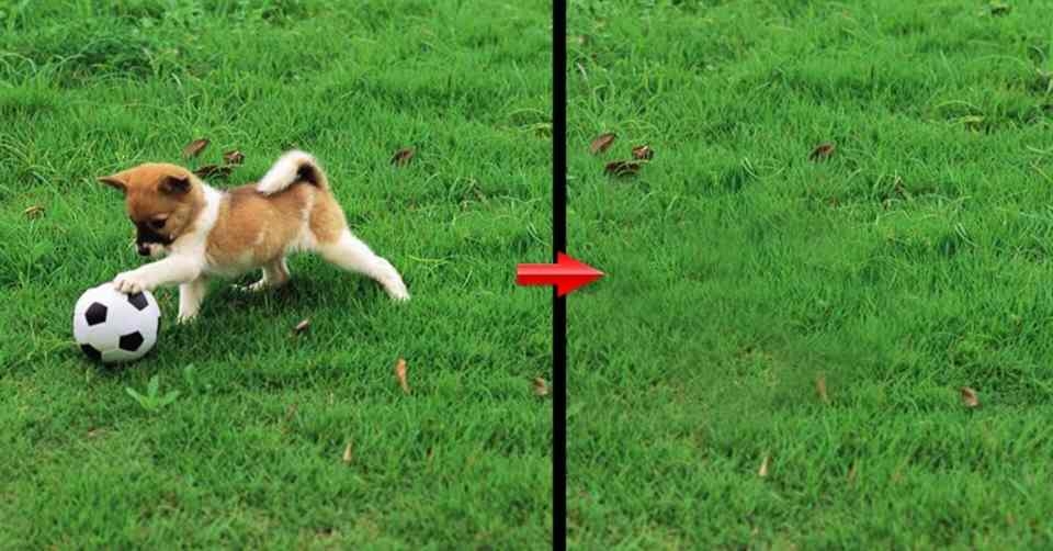 Những điều kiện xóa hình ảnh hiệu quả 
