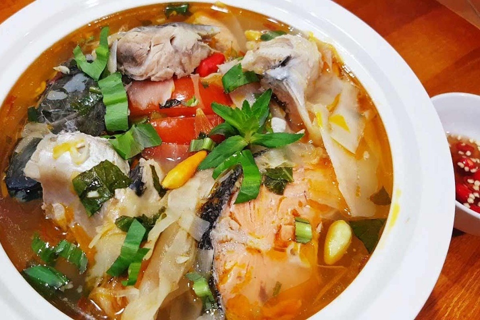 Cá mao ếch 6