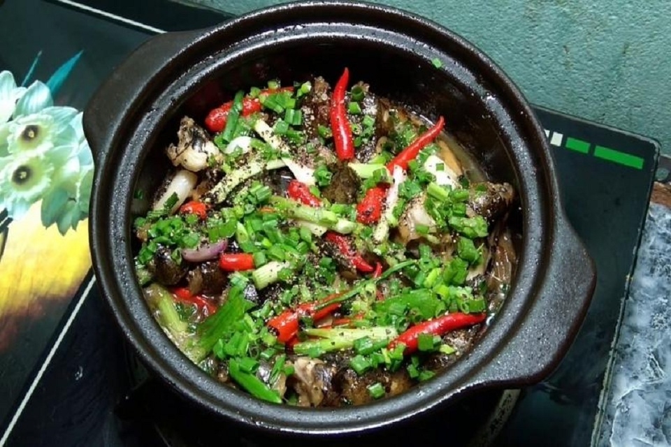 Cá mao ếch 7