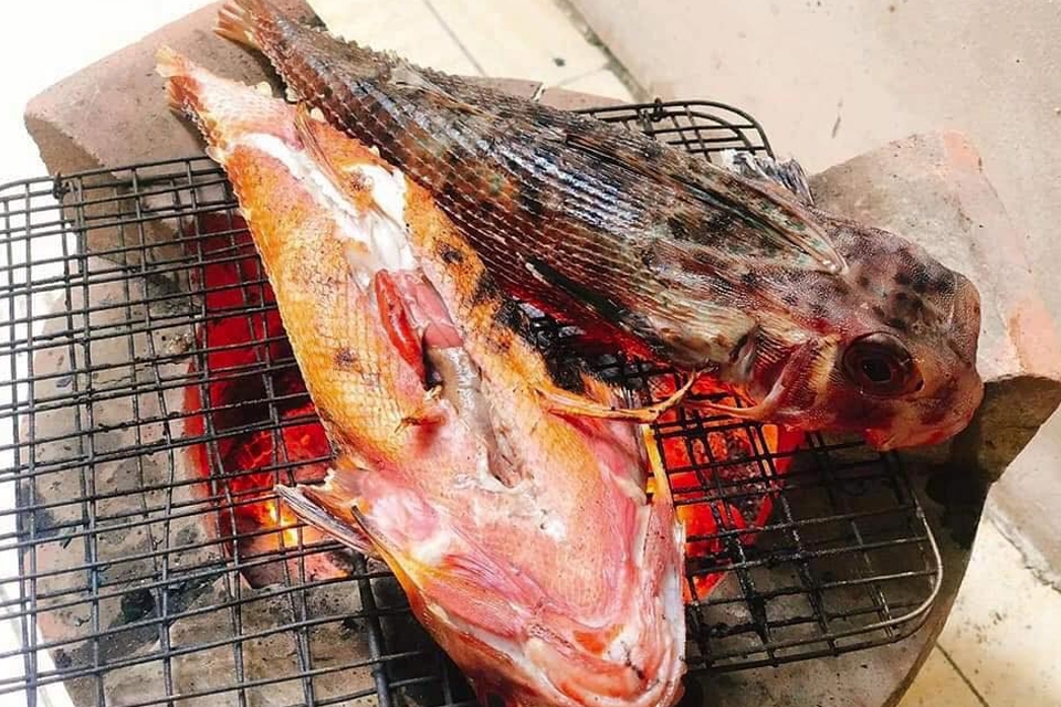 Nướng cá tắc kè.