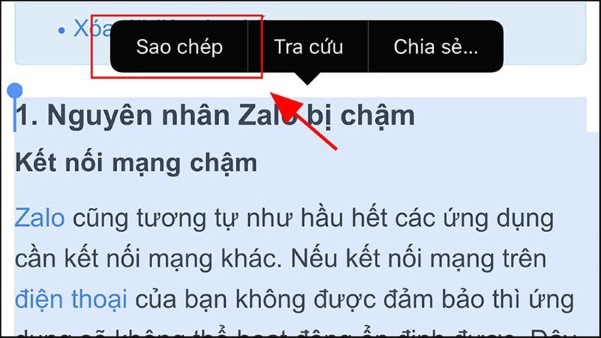 lấy chữ từ ảnh trên iphone - hình 4