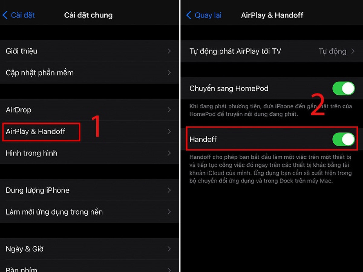 lấy chữ từ ảnh trên iphone - hình 8