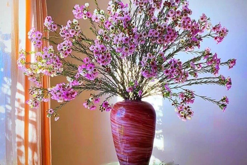 Cách cắm hoa thanh liễu hình 3