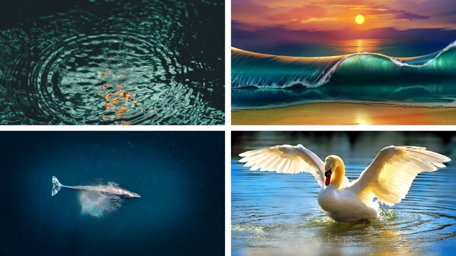 Hình nền may mắn mệnh Thủy dành cho máy tính 3