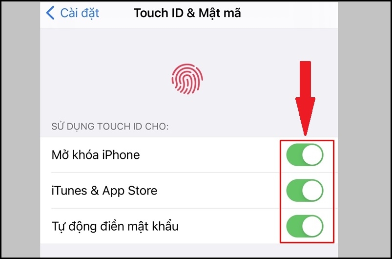 cài đặt vân tay iPhone - hình 10